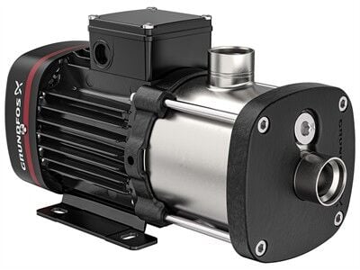 97516643	CM1-6 A-R-G-E-AQQE F-A-A-N